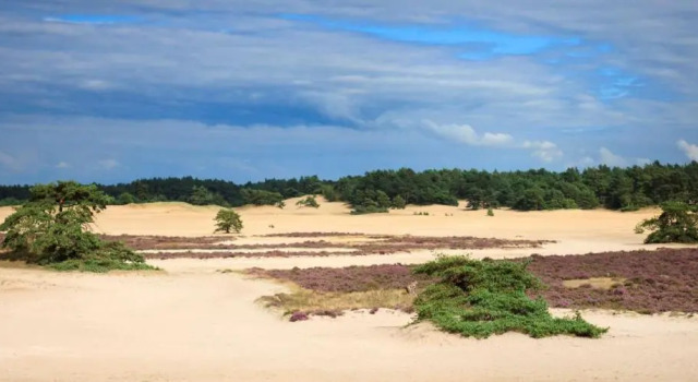 Hof van Benten, Rezerwuj Hotel Hotele w Veluwe z parkingiem, Parking
