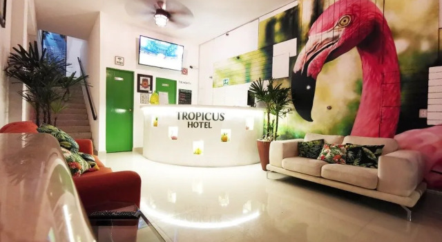 Hotel Tropicus Boutique, Rezerwuj Boutique Hotel Puerto Vallarta Jalisco