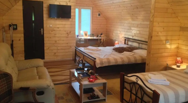 Pensiunea Carmen, Rezerwuj Hotel Bucium Alba