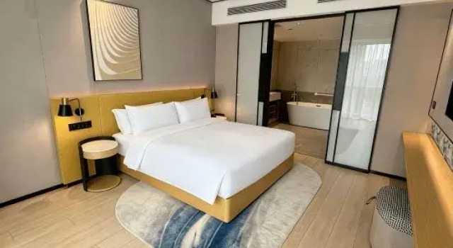 Люкс Deluxe Hilton Garden Inn Zhengzhou Zhengdong New District