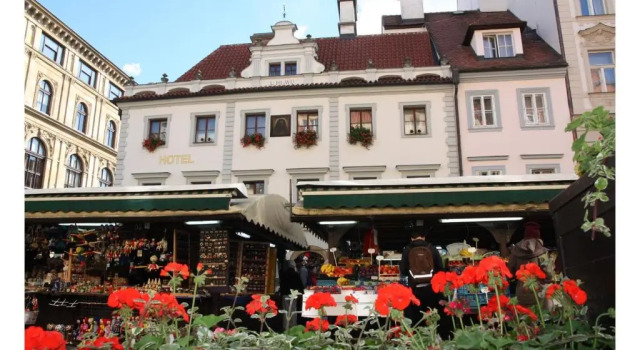 Одноместный номер Economy Prague Golden Age