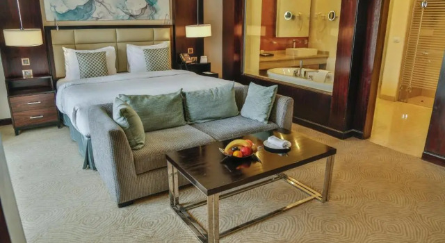 Двухместный номер Grand Deluxe с видом на город Triumph Luxury Hotel