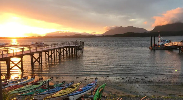 Номер Standard Tofino Paddlers Inn