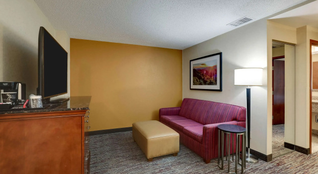 Номер Deluxe Drury Inn & Suites Charlotte Northlake