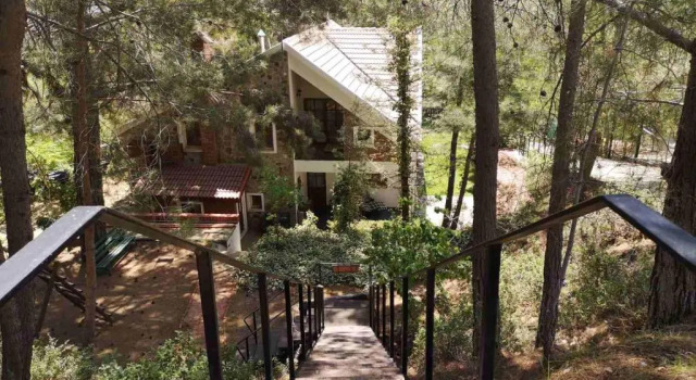 Вилла Villa Efrosyni by AgroHolidays