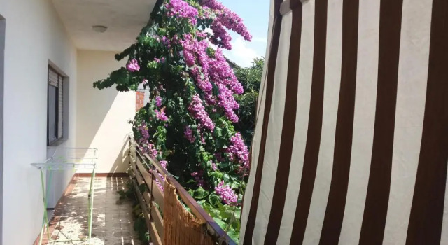 Апартаменты Apartment Green oasis by the sea