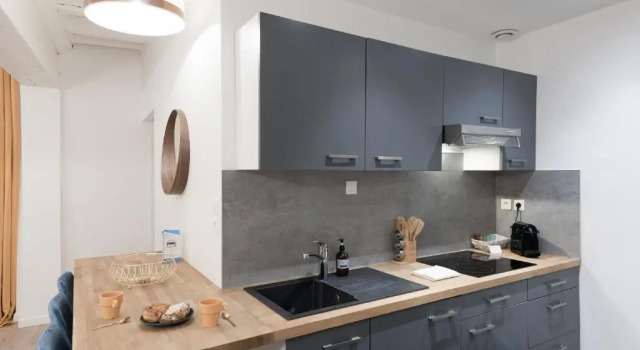 Апартаменты LE NID DU LION - Joli T2 quartier St Georges au calme