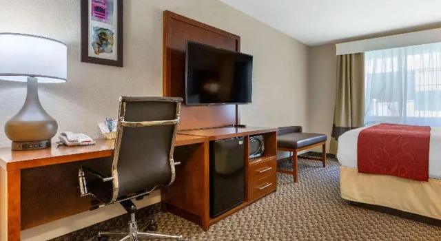 Номер Standard Spark by Hilton Tempe Phoenix Airport