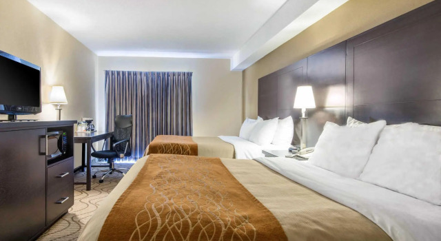 Четырёхместный номер Standard Comfort Inn