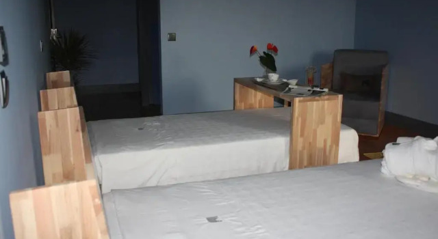 Люкс Standard ArsDurium Douro hotel