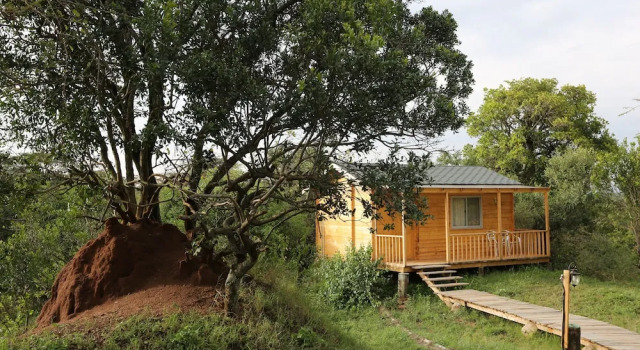 Двухместный номер Economy с балконом Jambo Mara Safari Lodge
