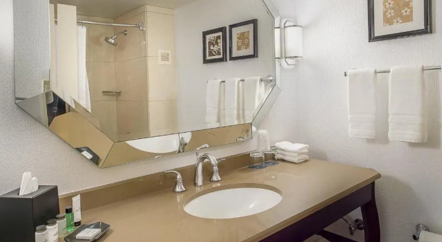Четырёхместный номер Standard Sheraton Westport Plaza
