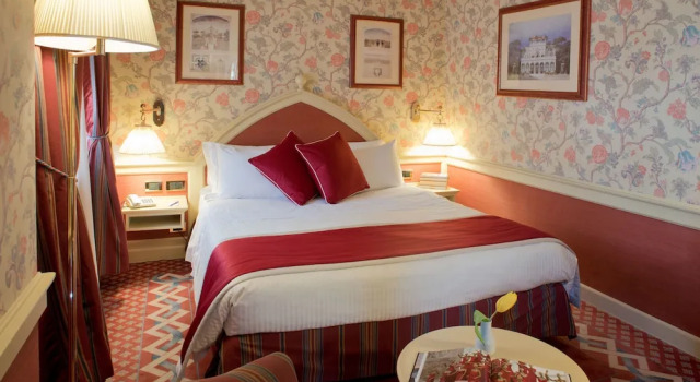 Economy with French bed Double room Hotel Milano Regency