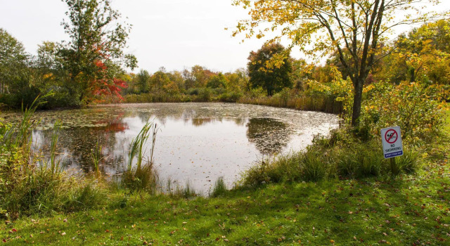 Sun Outdoors Mystic, Varaa Hotelli Hotellit New England uima-altaalla, Uima-allas