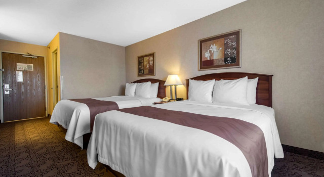 Camera quadrupla Standard Quality Inn