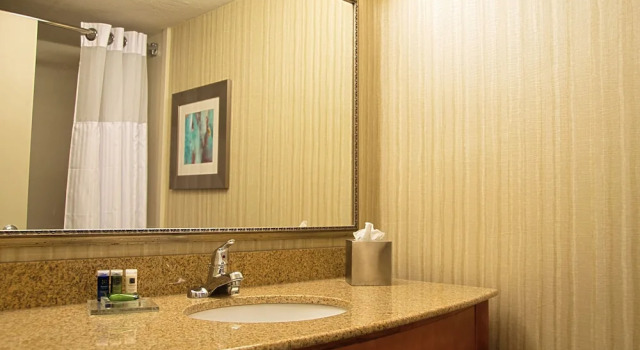 Люкс Holiday Inn Coralville - Iowa City by IHG