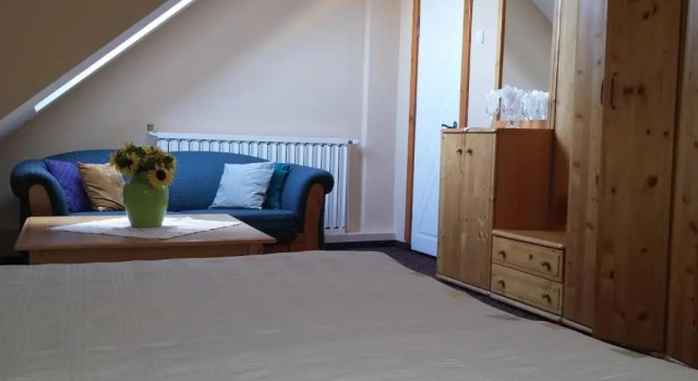 Номер Standard Pensiunea Casa Tepes