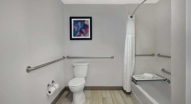 Номер Standard Hilton Garden Inn Memphis/Southaven