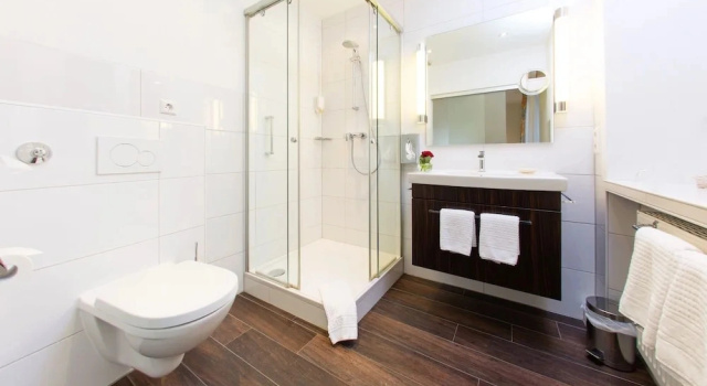 Двухместный номер Standard Ochsen Hotel & Restaurant Binzen / Basel