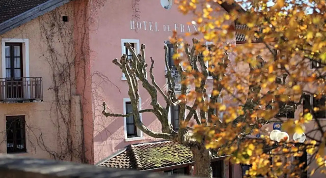Hotel De France, Book Hotel La Cote-Saint-Andre Isère