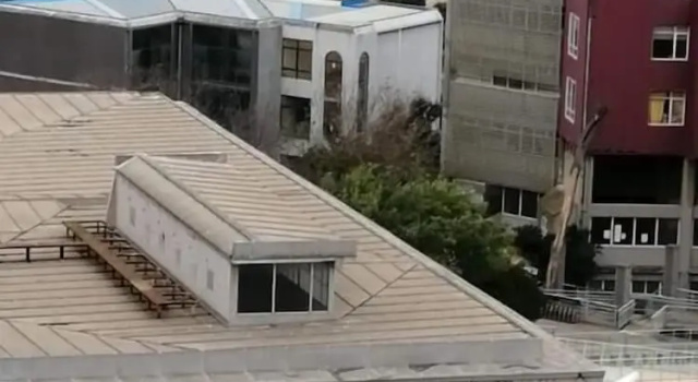 Departamento en Valparaíso Marigen