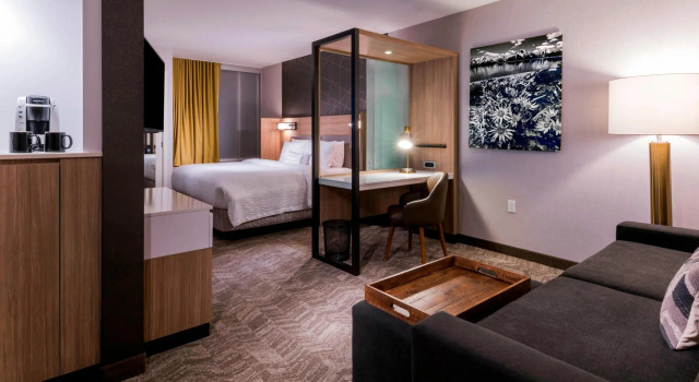 Двухместный люкс SpringHill Suites by Marriott Jackson Hole