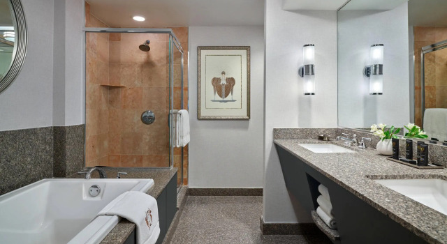 Двухместный номер Standard с видом на город The Brown Palace Hotel and Spa, Autograph Collection