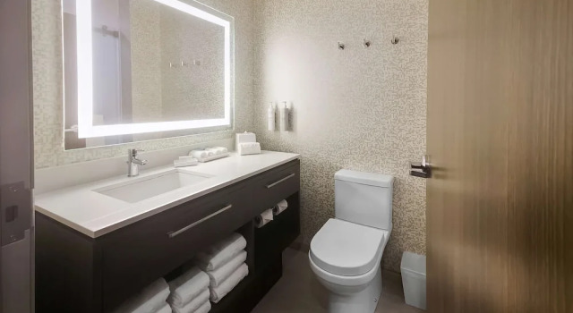 Четырёхместная студия Home2 Suites By Hilton Bolingbrook Chicago