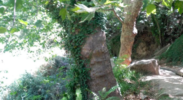 La Casita del Río, Забронировать Дом для отпуска Коттеджи Castellon Province, Коттедж