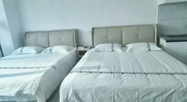 Люкс Deluxe Seagull · Selected Seaview Hotel Apartment (Dalian Xinghai Medical Second Hospital Branch)