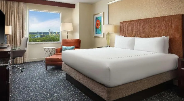 Zimmer Hilton Orlando