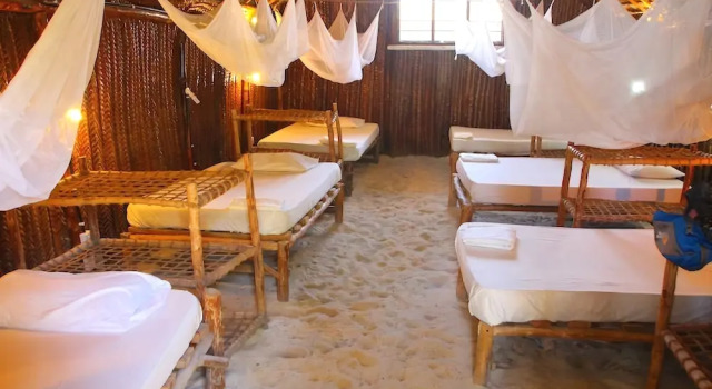 New Teddy's Place - Hostel/Backpacker