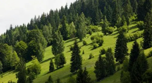 Gyimes Hostel, Varaa Hostelli  