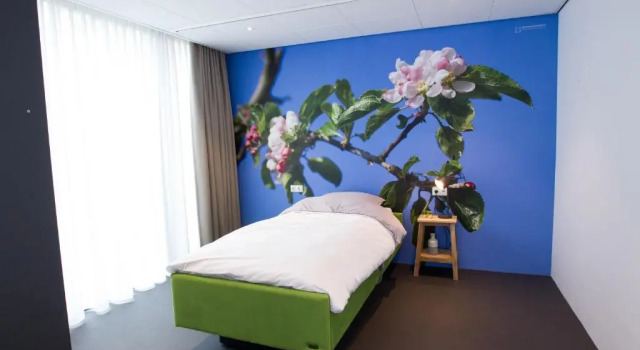 de rode beer (zeer rolstoelgeschikt), Boek Hotel Hotels in Salland met zwembad, Zwembad