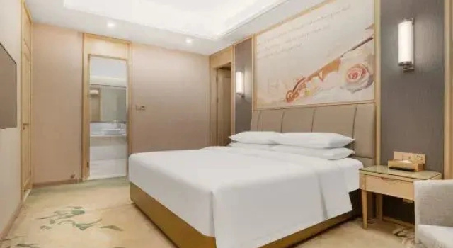 Двухместный люкс Standard с красивым видом из окна Vienna International Hotel (Chengdu Happy Valley, Dongzikou Metro Station)
