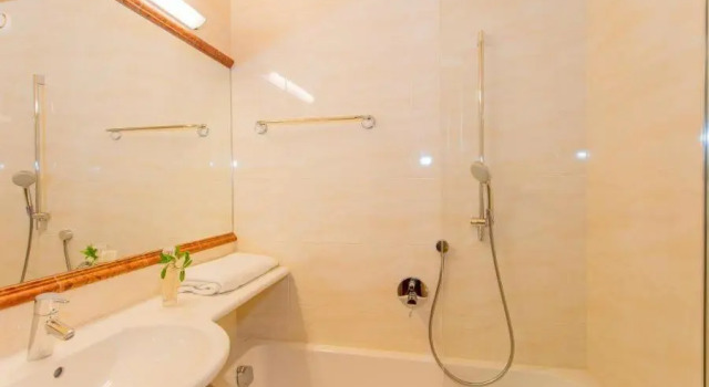 Двухместный номер Standard Hettlerhof