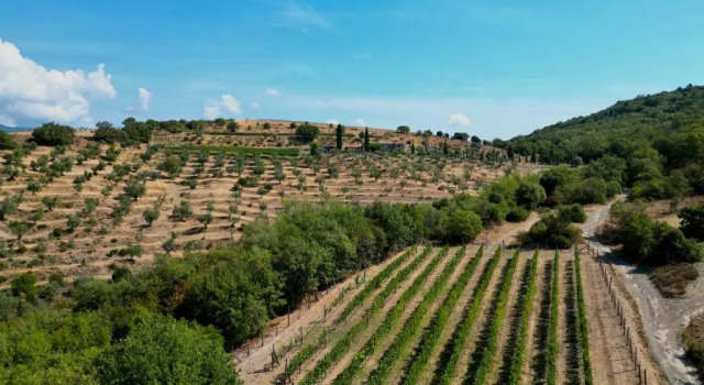 Вилла Deluxe Tenuta Angelici Winery Agriturismo Henni with pool sauna and jacuzzi Cortona