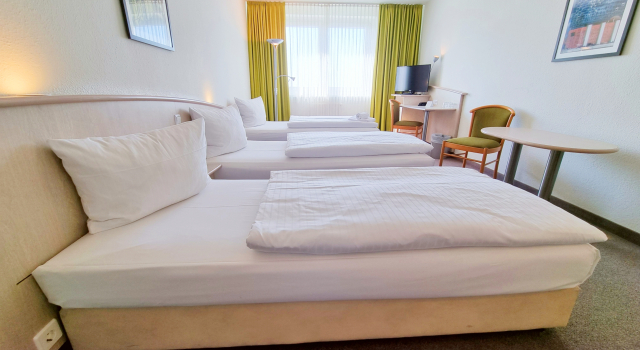 Трёхместный номер Standard Panorama Inn Hotel und Boardinghaus