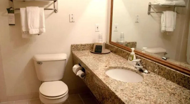 Двухместный номер Standard с балконом Comfort Inn & Suites Morton - Peoria