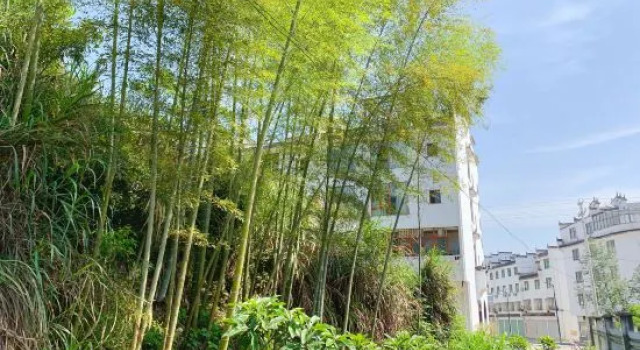 Hanlu Hostel, Rezerwuj Hostel Wuyuan Jiangxi