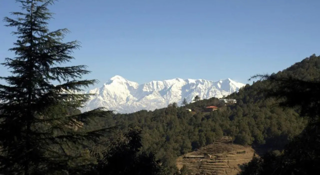 Номер Standard с видом на горы Tree of Life Grand Oak Manor, Binsar Wildlife Sanctuary