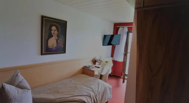 Номер Standard Hotel-Pension-Waldblick
