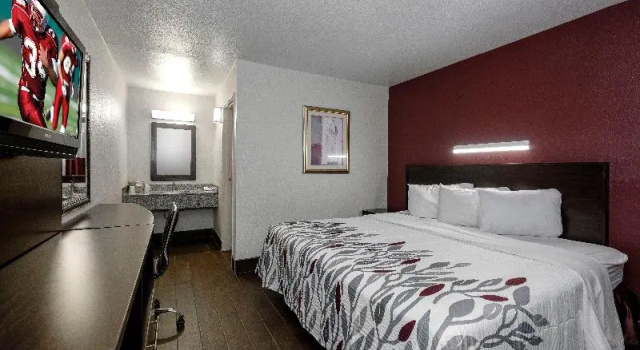Одноместный номер Standard Motel 6 Alexandria