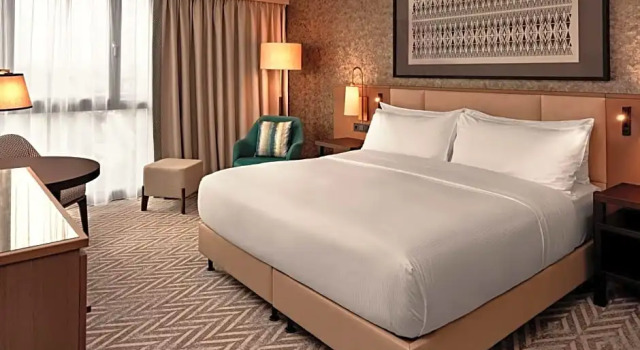 Двухместный номер с панорамным видом Hilton Vienna Park