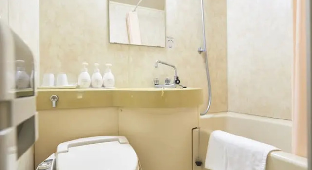 Одноместный номер Standard Select Inn Hamamatsu Ekimae