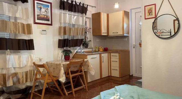 Студия Villa Mihaela