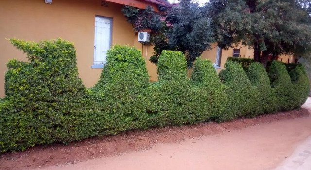 Номер Economy Thulamela Guest House Mahalapye