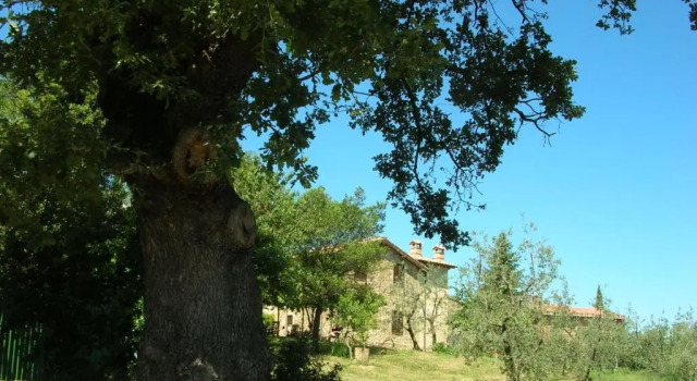 Коттедж Casa Vacanze Porta Vecchia