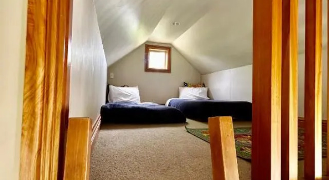 Lexi's Lodge