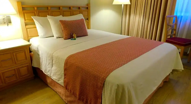 Camera singola Standard Hotel Palacio Azteca